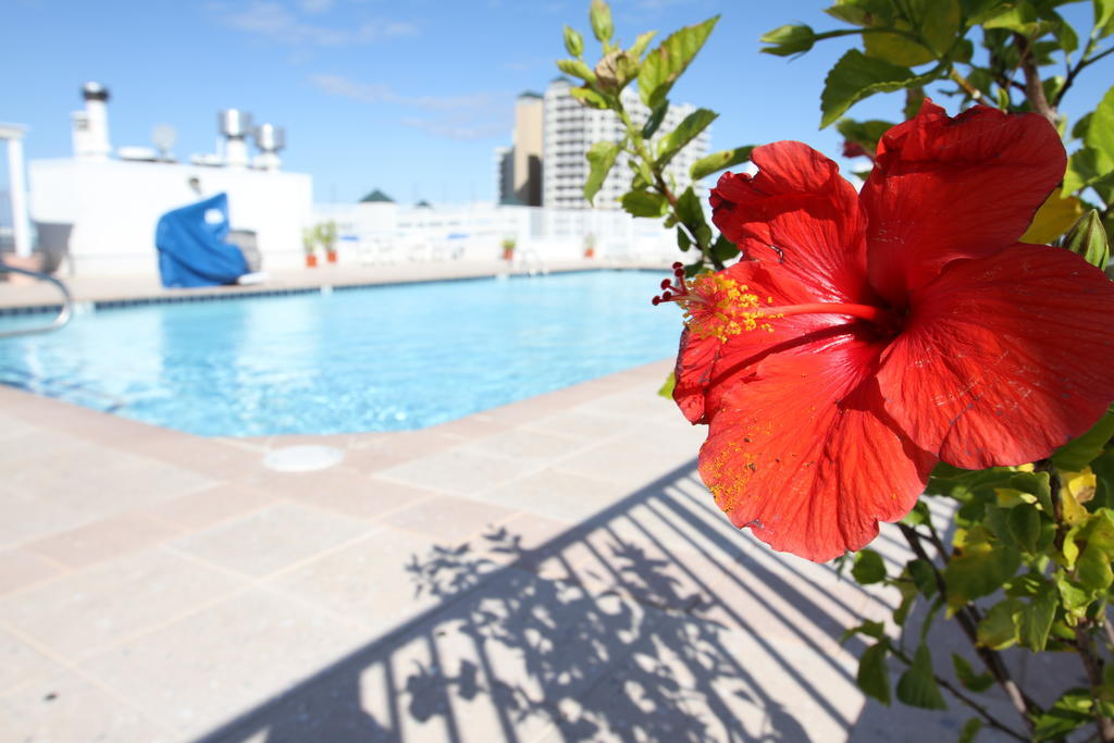 Princess Bayside Beach Hotel Ocean City Zewnętrze zdjęcie