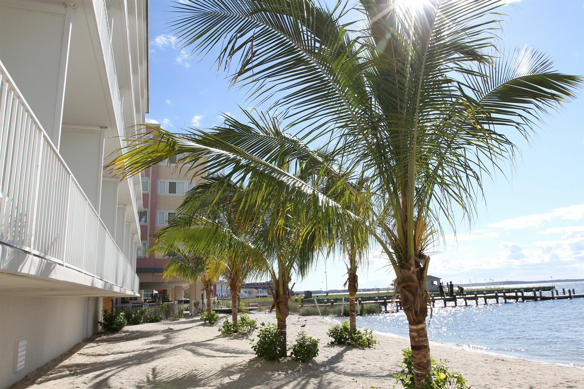 Princess Bayside Beach Hotel Ocean City Zewnętrze zdjęcie